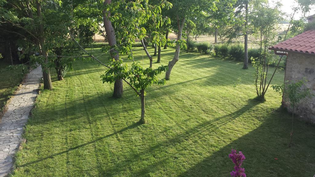 Апартаменты Agriturismo Casal Taccone Тарквиния Номер фото
