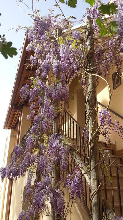 Апартаменты Agriturismo Casal Taccone Тарквиния Экстерьер фото